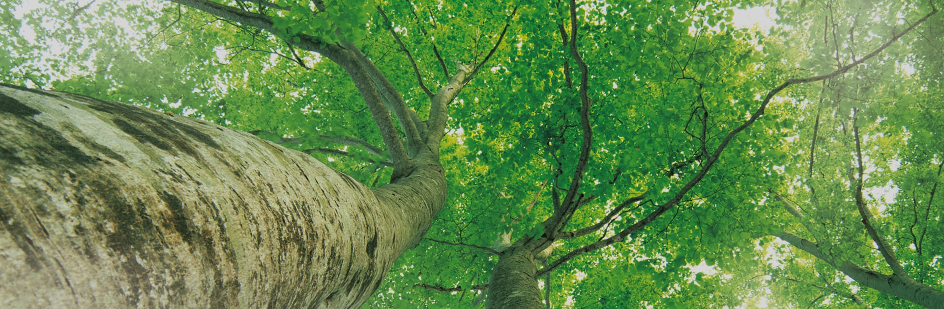 澳门大阳城(集团)有限公司官网