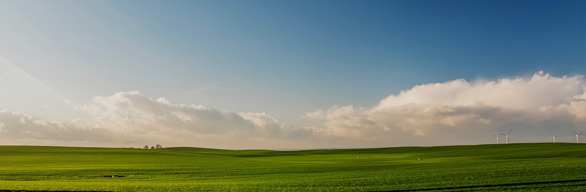 澳门大阳城(集团)有限公司官网