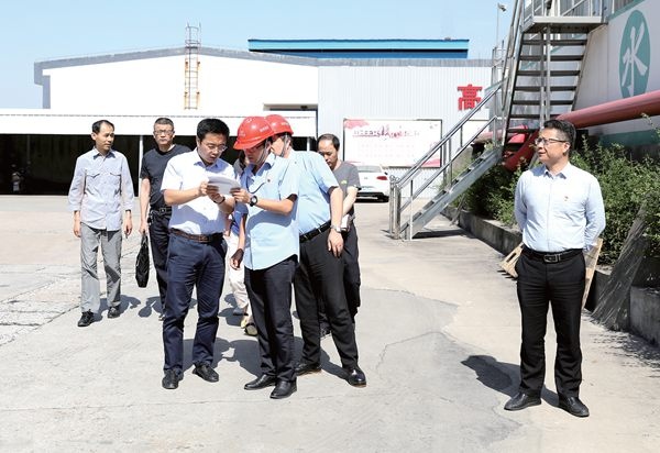 平湖市环保检查组莅临公司调研指导_报纸新闻_澳门大阳城