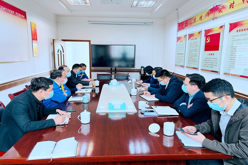 平湖市委常委、副市长戴振一行莅临平湖景包调研走访_公司新闻_新闻中心_澳门大阳城