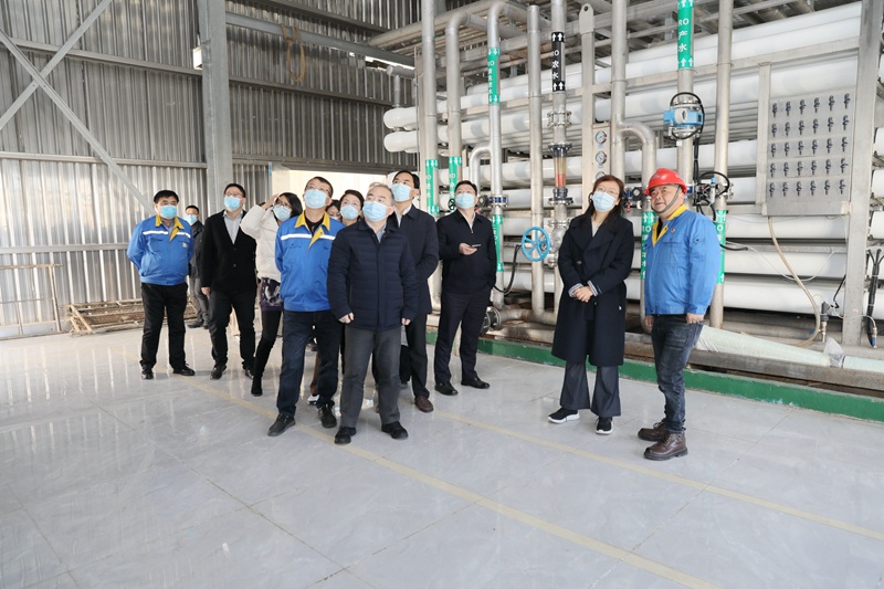 浙江省碳达峰碳中和事情督查组莅临澳门大阳城纸业调研_公司新闻_新闻中心_澳门大阳城