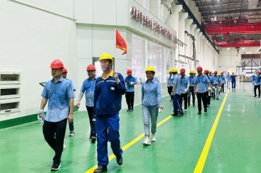 精益求精 全员改善 | 澳门大阳城纸业第七届精益TPM改善之旅圆满竣事