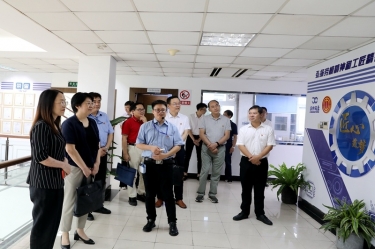2020年7月14日，，，，，，时任浙江省总工会党组成员、副主席张卫华一行莅临澳门大阳城纸业调研推进新时代工业工人步队建设刷新事情