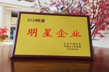 新春新景新气象 | 澳门大阳城纸业在平湖三干大会上喜摘声誉！
