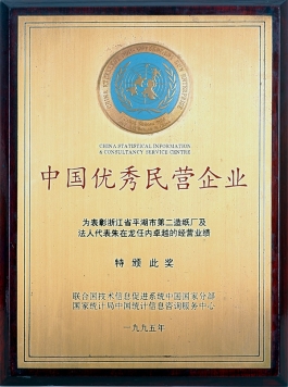 中国优异民营企业